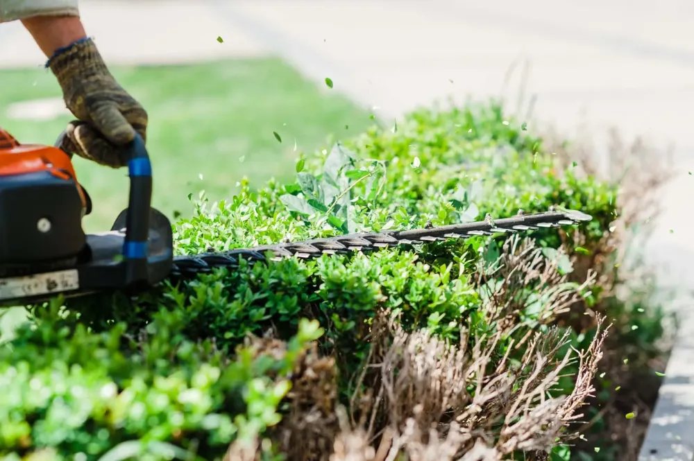 aménagement extérieur à Saint-Philbert-de-Grand-Lieu
